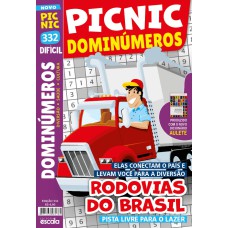 PICNIC DOMINÚMEROS - RODOVIAS DO BRASIL - DIFICIL: 332