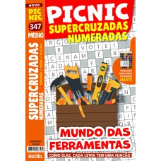 PICNIC SUPERCRUZADAS NUMERADAS - MÉDIO: 347 - MUNDO DAS FERRAMENTAS