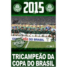 COLEÇÃO OFICIAL HISTÓRICA PALMEIRAS EDIÇÃO 20 - PÔSTER COPA DO BRASIL 2015