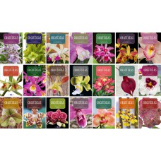 ENCICLOPÉDIA DAS ORQUÍDEAS (COLEÇÃO - 21 VOLUMES)