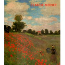 PORTFOLIO  MONET INT