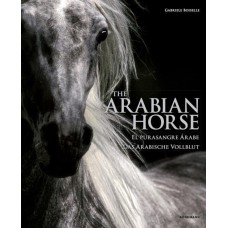 THE ARABIAN HORSES