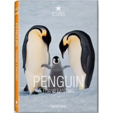 Penguins