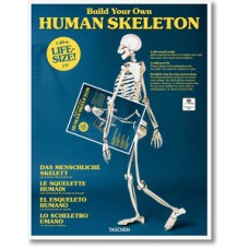 Build your own human skeleton - life-size!