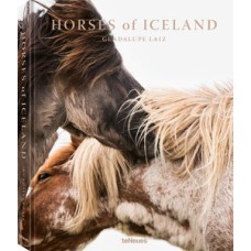 Horses of iceland