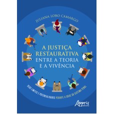 A JUSTIÇA RESTAURATIVA ENTRE A TEORIA E A VIVÊNCIA: SEUS LIMITES E POTENCIALIDADES PERANTE A CRISE DO SISTEMA PENAL