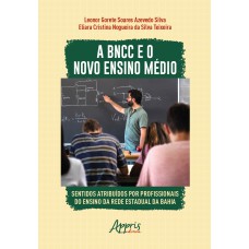 A BNCC E O NOVO ENSINO MÉDIO: SENTIDOS ATRIBUÍDOS POR PROFISSIONAIS DO ENSINO DA REDE ESTADUAL DA BAHIA