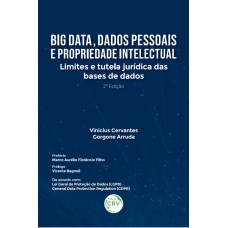 BIG DATA, DADOS PESSOAIS E PROPRIEDADE INTELECTUAL: LIMITES E TUTELA JURÍDICA DAS BASES DE DADOS 2ª EDIÇÃO