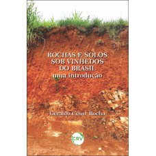 ROCHAS E SOLOS SOB VINHEDOS DO BRASIL: UMA INTRODUÇÃO