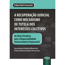 RECUPERAÇÃO JUDICIAL COMO MECANISMO DE TUTELA DOS INTERESSES COLETIVOS, A - DA VISÃO PRIVATISTA PARA A RESPONSABILIDADE SOCIOECONÔMICA EMPRESARIAL