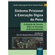 SISTEMA PRISIONAL E EXECUÇÃO DIGNA DA PENA - A ATUAÇÃO DO TERCEIRO SETOR NO PROCESSO DE RESSOCIALIZAÇÃO