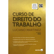 CURSO DE DIREITO DO TRABALHO - RELAÇÕES INDIVIDUAIS, SINDICAIS E COLETIVAS DO TRABALHO -13ª EDIÇÃO 2022