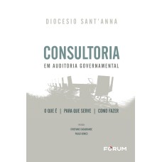 CONSULTORIA EM AUDITORIA GOVERNAMENTAL - O QUE É - PARA QUE SERVE - COMO FAZER