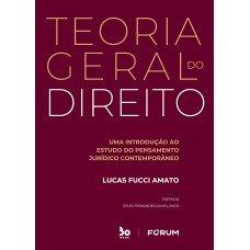 TEORIA GERAL DO DIREITO: UMA INTRODUÇÃO AO ESTUDO DO PENSAMENTO JURÍDICO CONTEMPORÂNEO