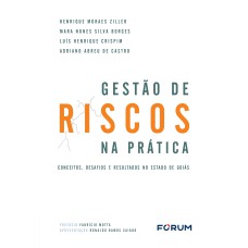 A GESTÃO DE RISCOS NA PRÁTICA: CONCEITOS, DESAFIOS E RESULTADOS NO ESTADO DE GOIÁS