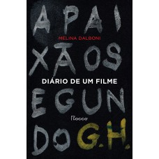 DIÁRIO DE UM FILME: A PAIXÃO SEGUNDO G. H.