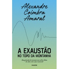 A EXAUSTÃO NO TOPO DA MONTANHA: UMA JORNADA DE RECONEXÃO COM OUTROS RITMOS DA VIDA E COM O QUE É ESSENCIAL