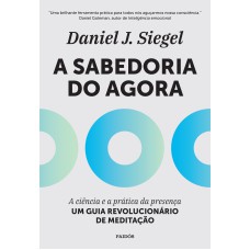 A SABEDORIA DO AGORA: A CIÊNCIA E A PRÁTICA DA PRESENÇA - UM GUIA REVOLUCIONÁRIO DE MEDITAÇÃO