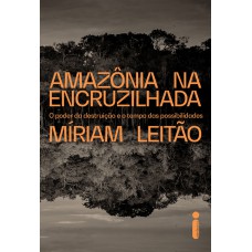 AMAZÔNIA NA ENCRUZILHADA: O PODER DA DESTRUIÇÃO E O TEMPO DAS POSSIBILIDADES