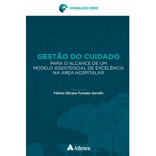 GESTÃO DO CUIDADO PARA O ALCANCE DE UM MODELO ASSISTENCIAL DE EXCELÊNCIA NA ÁREA HOSPITALAR