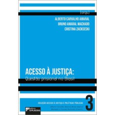 Acesso à justiça: Questão prisional no Brasil