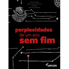 PERPLEXIDADES DE UM ANO SEM FIM