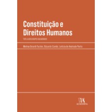 Constituição e direitos humanos: tutela dos grupos vulneráveis