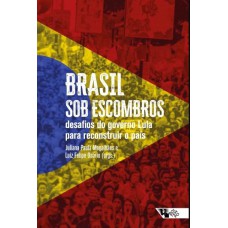 BRASIL SOB ESCOMBROS - DESAFIOS DO GOVERNO LULA PARA RECONSTRUIR O PAÍS