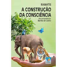 A CONSTRUÇÃO DA CONSCIÊNCIA