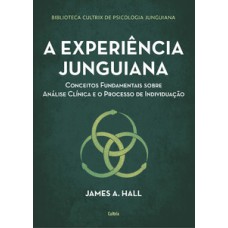 A experiência junguiana: conceitos fundamentais sobre análise clínica e o processo de individuação