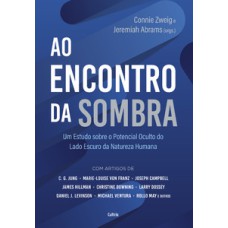 Ao encontro da sombra: um estudo sobre o potencial oculto do lado escuro da natureza humana