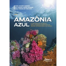 AMAZÔNIA AZUL: A CONTRIBUIÇÃO DO BRASIL PARA A MUDANÇA NORMATIVA DO REGIME INTERNACIONAL DOS MARES