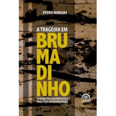 A tragédia em Brumadinho: olhares pela necropolítica e injustiças socioambientais