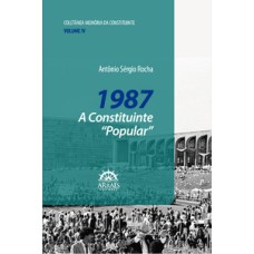 1987 - A constituinte 