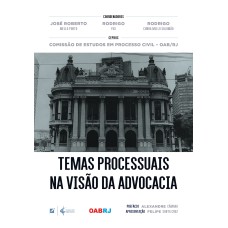 TEMAS PROCESSUAIS NA VISÃO DA ADVOCACIA