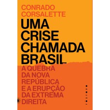 UMA CRISE CHAMADA BRASIL: A QUEBRA DA NOVA REPÚBLICA E A ERUPÇÃO DA EXTREMA DIREITA