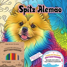 SPITZ ALEMÃO