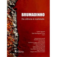 BRUMADINHO - DA CIÊNCIA À REALIDADE