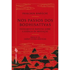 NOS PASSOS DOS BODHISATTVAS - ENSINAMENTOS BUDISTAS SOBRE A ESSÊNCIA DA MEDITAÇÃO