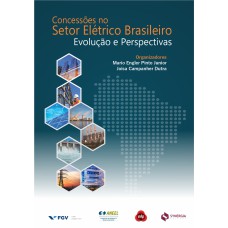 CONCESSÕES NO SETOR ELÉTRICO BRASILEIRO - EVOLUÇÃO E PERSPECTIVAS