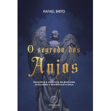 O segredo dos anjos