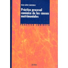 PRACTICA PROCESAL CANONICA DE LAS CAUSAS - 1