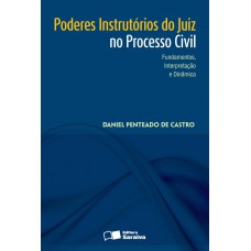 PODERES INSTRUTÓRIOS DO JUIZ NO PROCESSO CIVIL: FUNDAMENTOS, INTERPRETAÇÃO E DINÂMICA - 1ª EDIÇÃO DE 2013