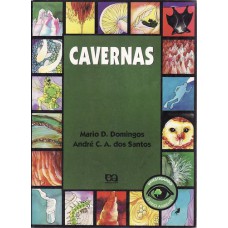 CAVERNAS - INVESTIGANDO - 3