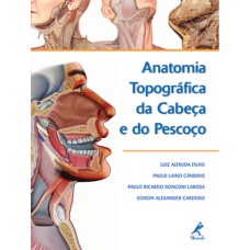 ANATOMIA TOPOGRÁFICA DA CABEÇA E DO PESCOÇO