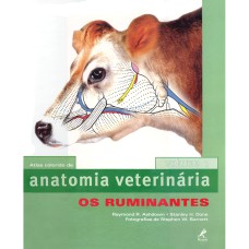 ANATOMIA VETERINÁRIA: OS RUMINANTES