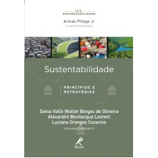 Sustentabilidade: princípios e estratégias