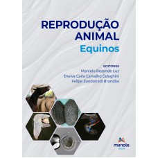 Reprodução animal: Equinos