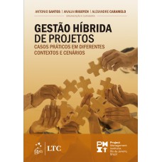 GESTÃO HÍBRIDA DE PROJETOS