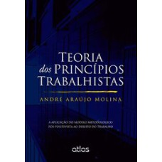 TEORIA DOS PRINCÍPIOS TRABALHISTAS APLICAÇÃO MODELO METODOLÓGICO PÓS-POSITIVISTA AO DTO DO TRABALHO